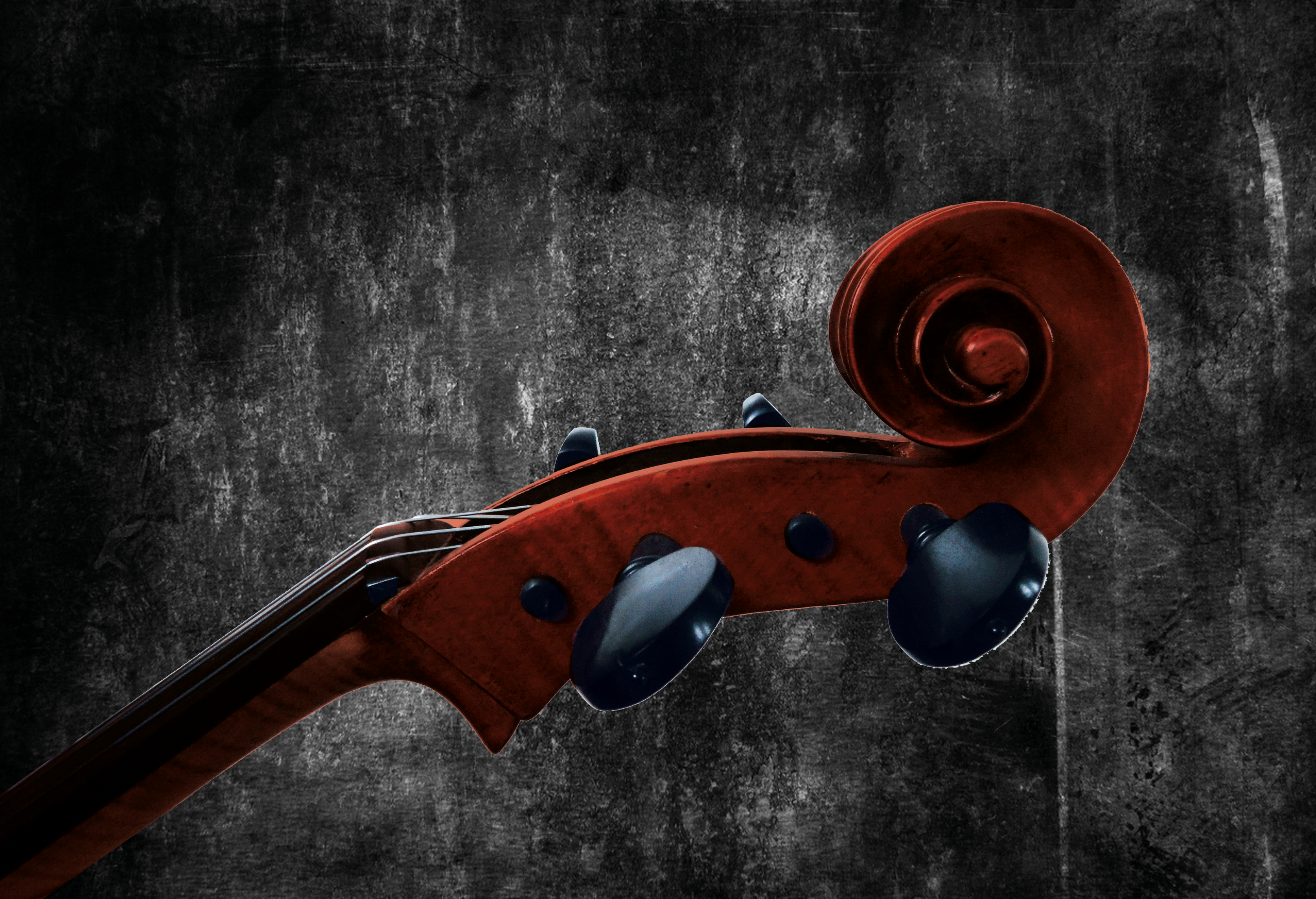 geschilderde cello klankkast