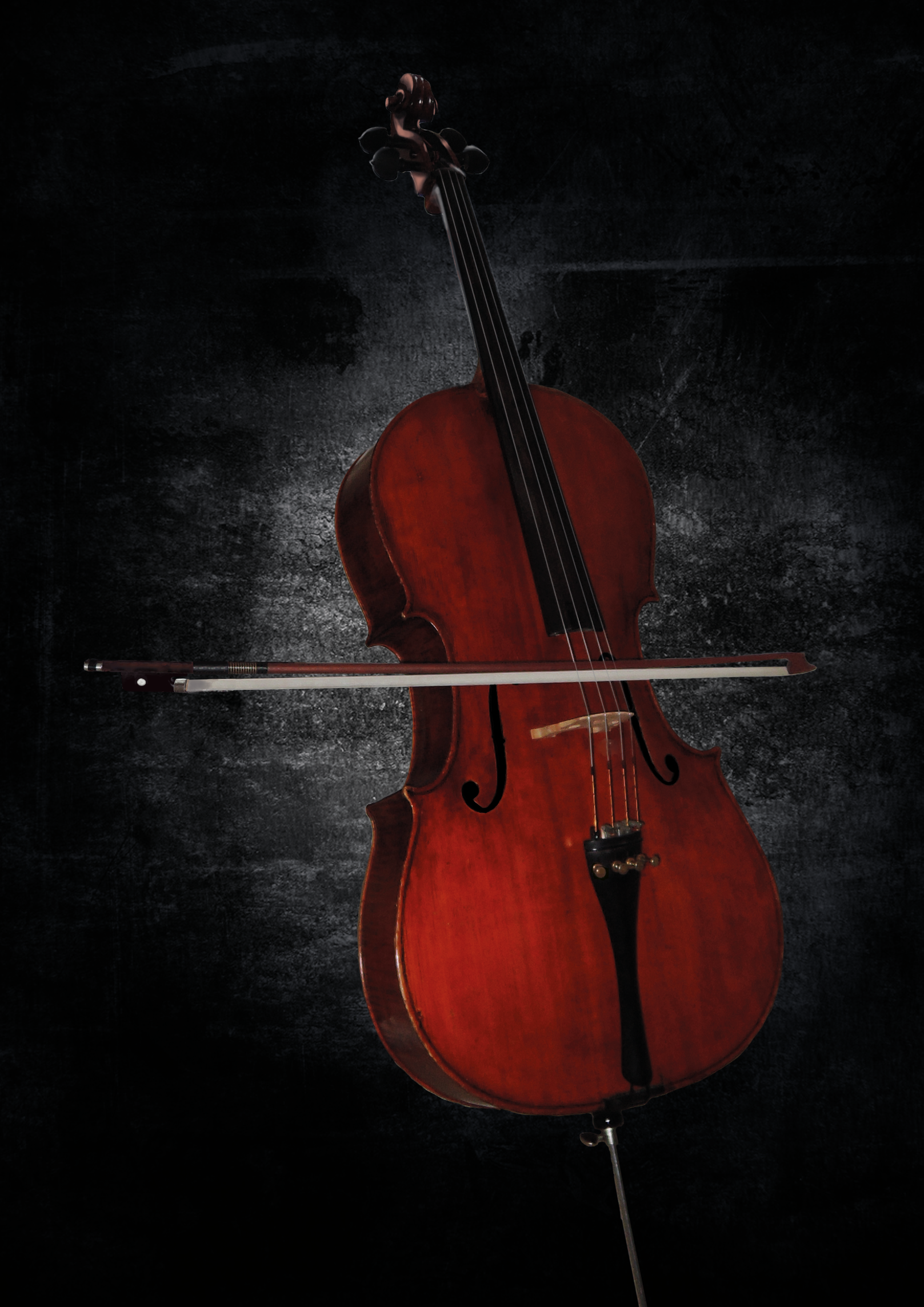 volledige geschilderde cello